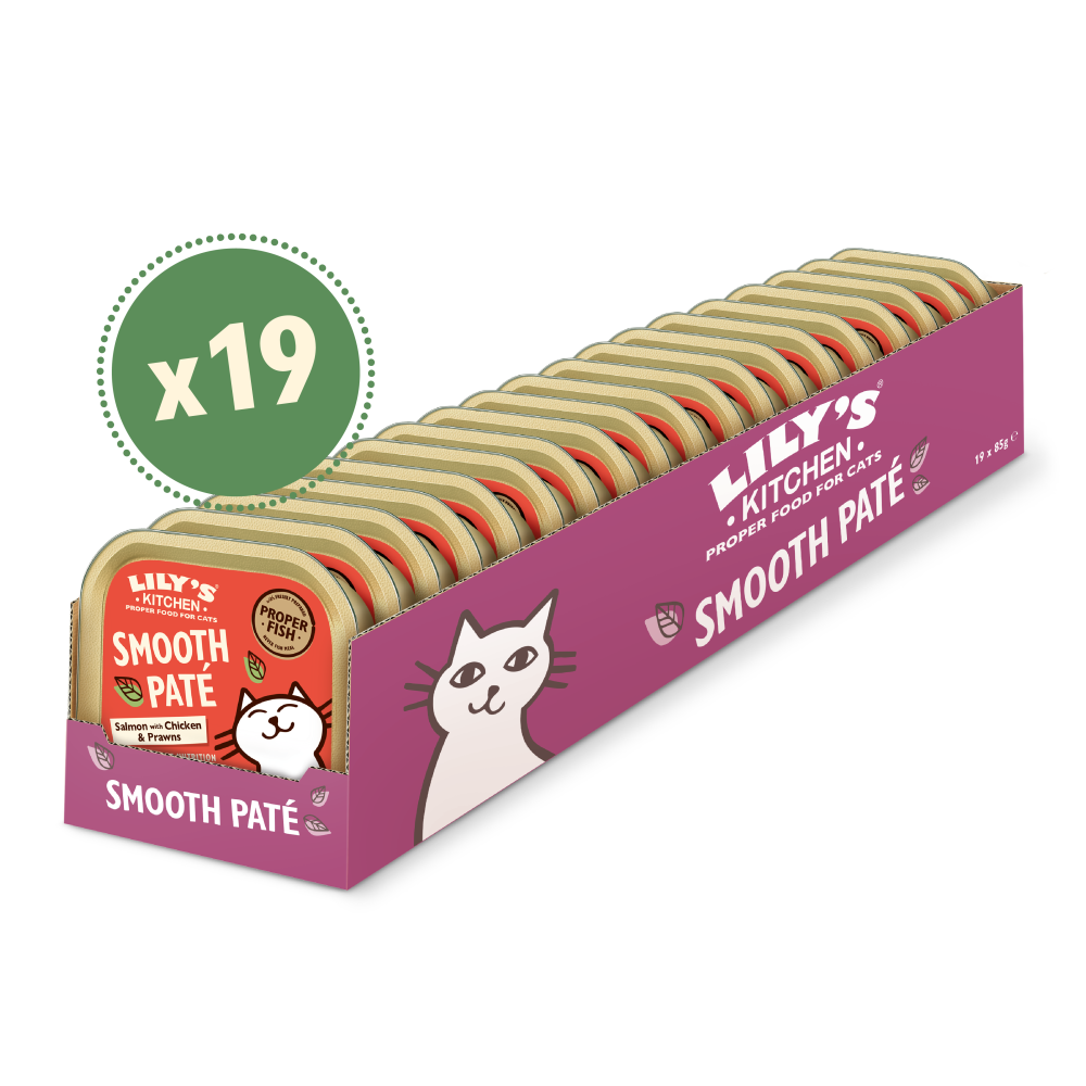 Lachs und Hühnerpastete für Katzen Multipack (19 x 85g)