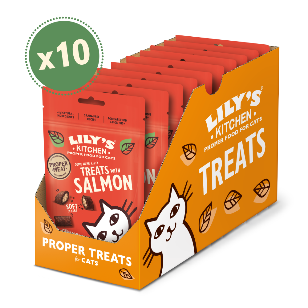 Come Here Kitty Leckerlis mit Lachs für Katzen (10 x 60g)